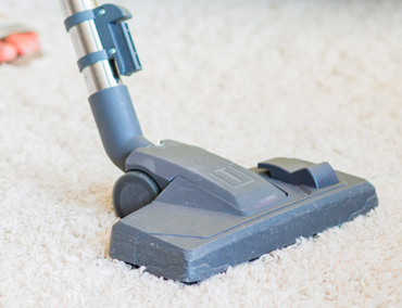 Carpet and Sofa Cleaning
